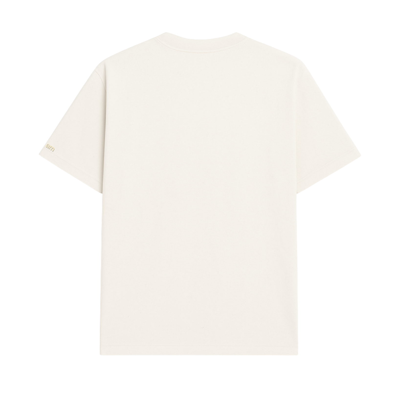 S03 : EvoBred™ Oversized T-Shirt