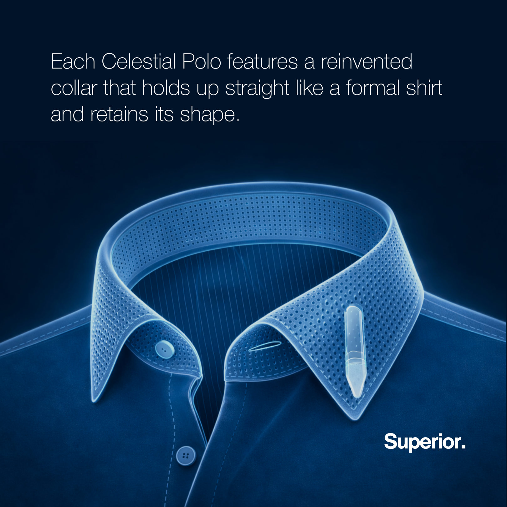 S04 : EvoBred™ Celestial Polo