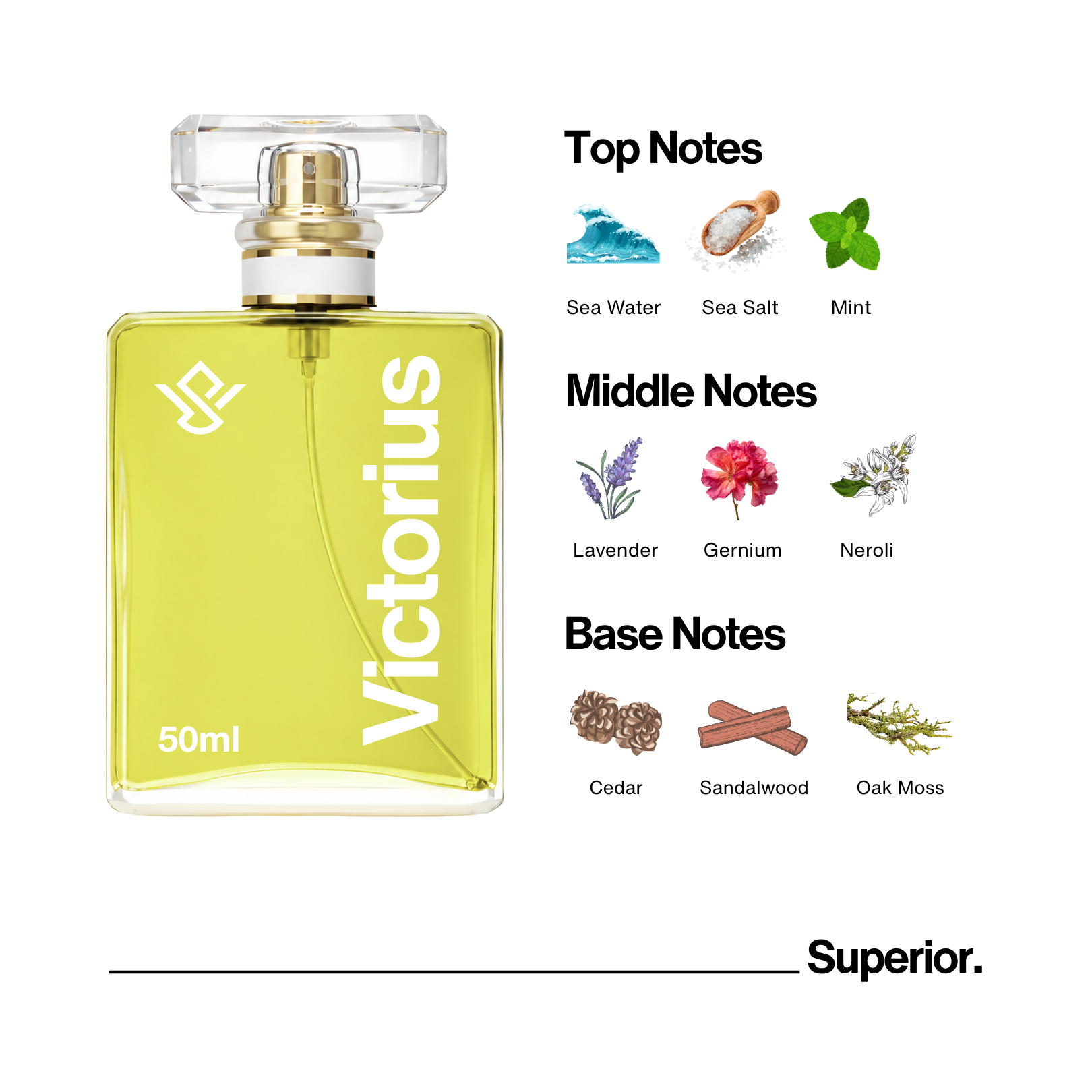 S05 : The Superior Fragrances